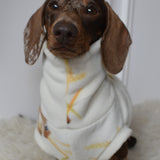 Woodland Squirrels & Hedgehogs