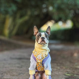 Pastel Rainbow Fleece