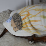 Woodland Squirrels & Hedgehogs