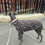 Chocolate Floral Jersey