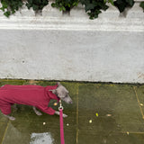 Waterproof Full Fleece Suit