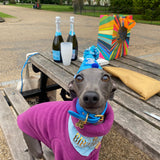 Syril’s Plum Fleece