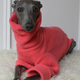 Sessel’s Coral Fleece