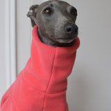 Sessel’s Coral Fleece