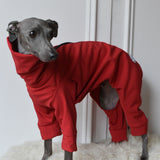 Waterproof Full Fleece Suit