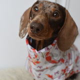 Waterproof Full Fleece Suit