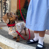 Back To School Jersey