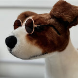 Doggy Sunglasses