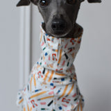 Back To School Jersey