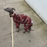 Super Bowl Special Fleece