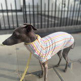 Pastel Stripe Jersey