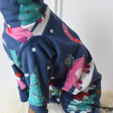 Christmas Dino 🦖 🦕