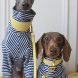 Birthday Navy Stripe