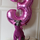 Syril’s Plum Fleece