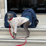 Back To School Jersey