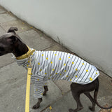 Italian Riviera- Striped Little Lemon Jersey