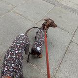 Chocolate Floral Jersey