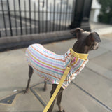 Pastel Stripe Jersey