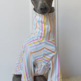 Pastel Stripe Jersey