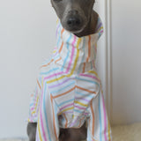 Pastel Stripe Jersey