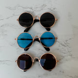 Doggy Sunglasses