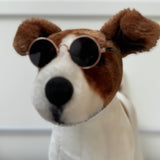 Doggy Sunglasses