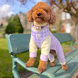 Pastel Rainbow Fleece