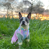 Pastel Rainbow Fleece