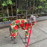 Strawberry Feilds Forever Fleece