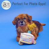 Rainbow Sparkle Dog Happy Birthday Cake