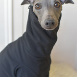 Waterproof Full Fleece Suit