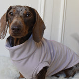 Waterproof Full Fleece Suit