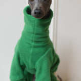 Emerald Green Fleece