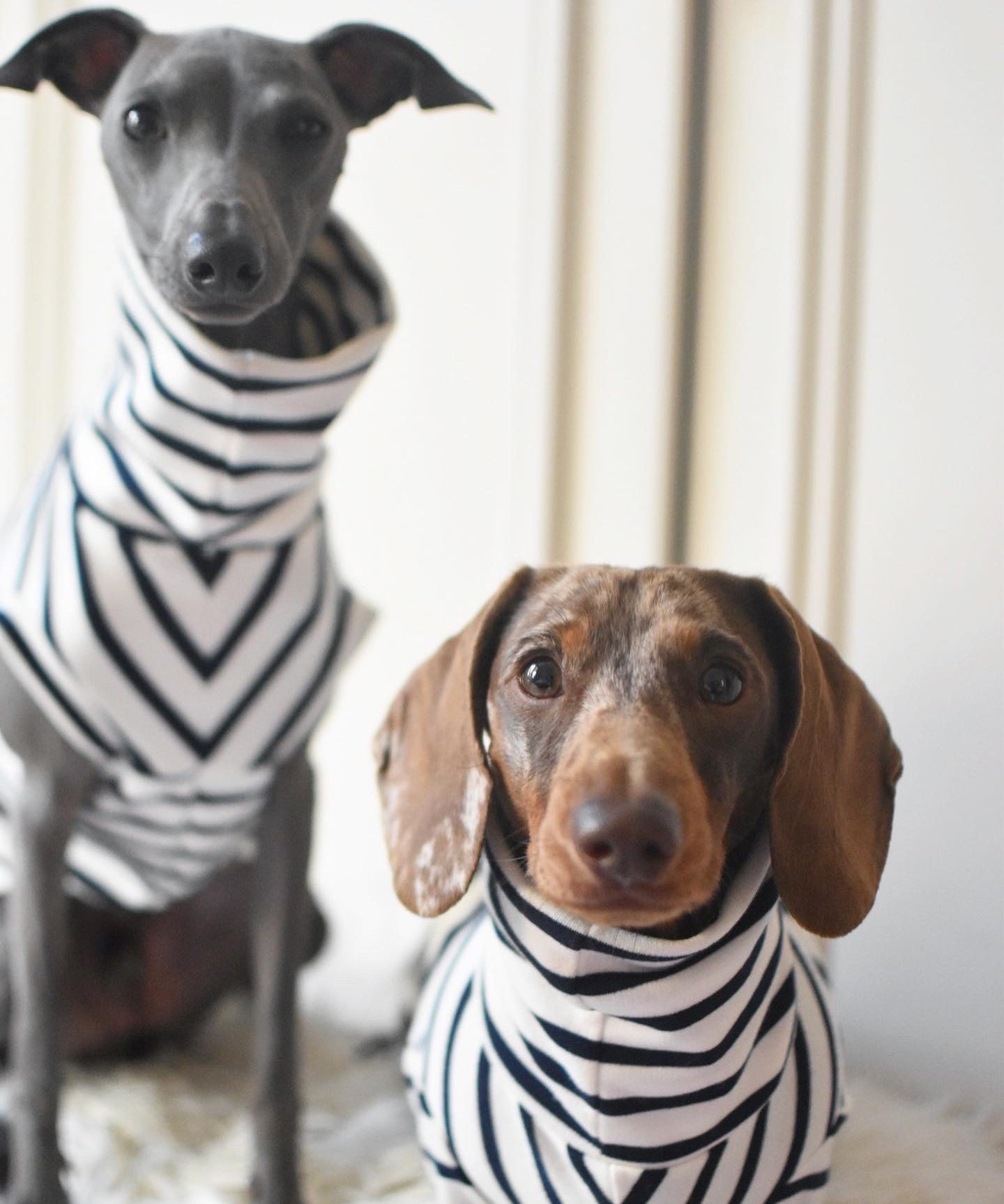 Classic Breton Jersey