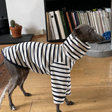 Classic Breton Jersey