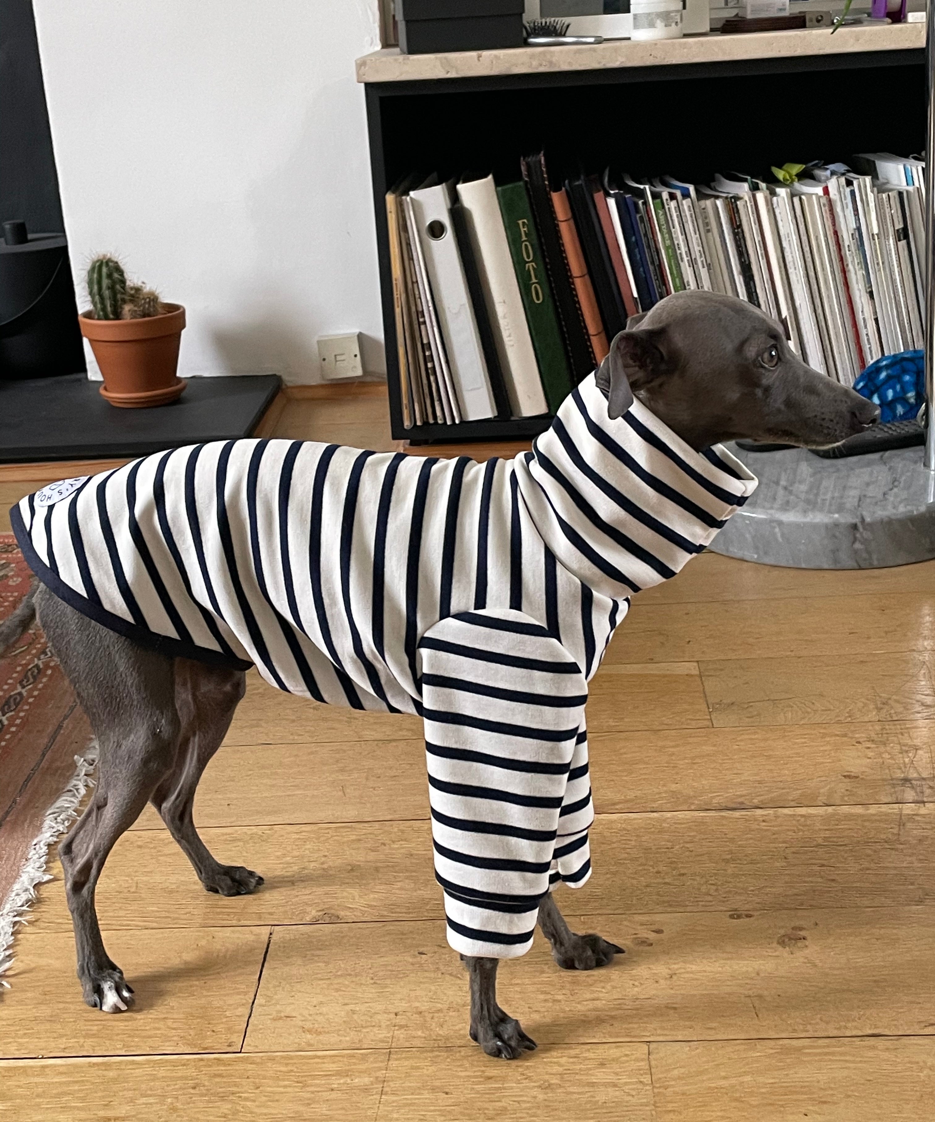 Classic Breton Jersey