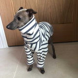 Classic Breton Jersey