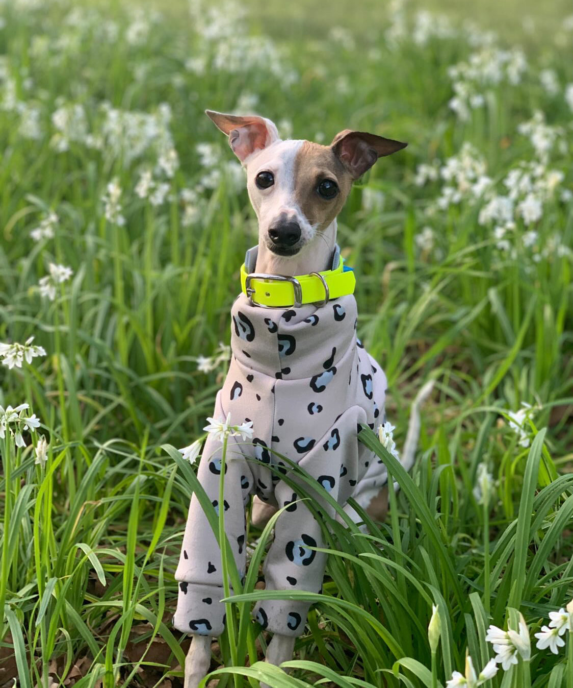Leopard Layered Fleece