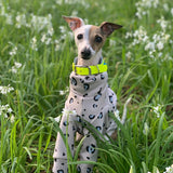 Leopard Layered Fleece