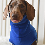 Puppy Fleece Package