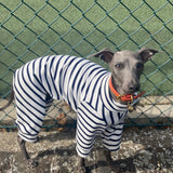 Classic Breton Jersey