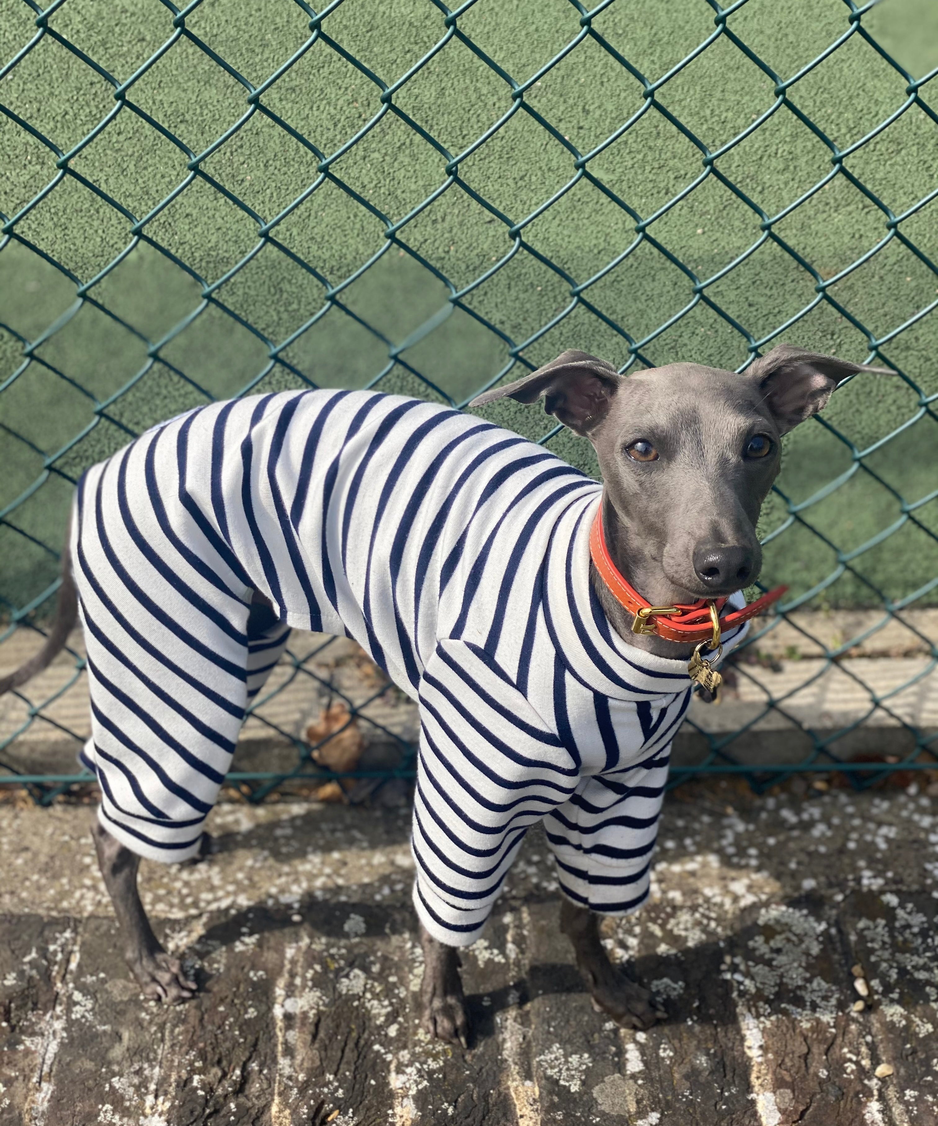 Classic Breton Jersey