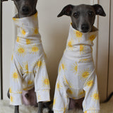 Sunshine Cotton Jersey