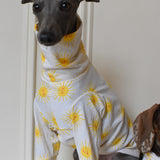 Sunshine Cotton Jersey