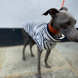 Classic Breton Jersey