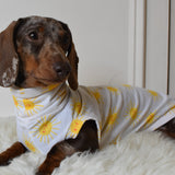 Sunshine Cotton Jersey