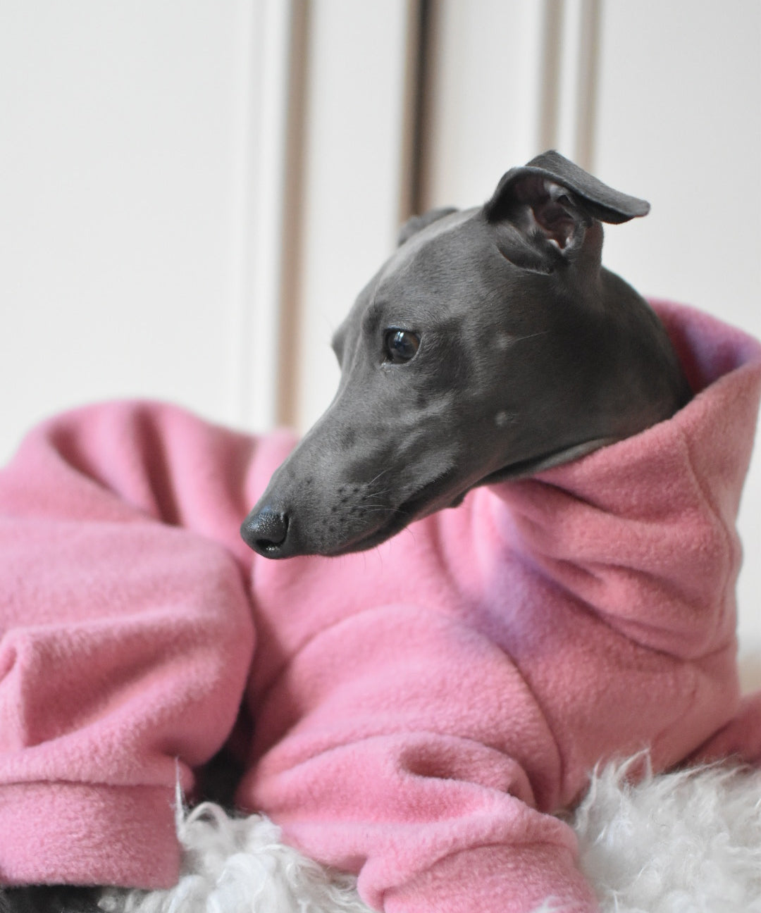 Puppy Fleece Package