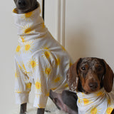 Sunshine Cotton Jersey