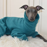 Teal Fleece