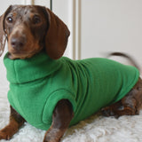 Emerald Green Fleece